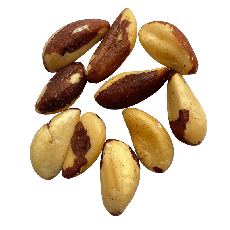 Indulge in Exotic Dry Fruits with Brazil Nuts