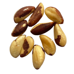 Indulge in Exotic Dry Fruits with Brazil Nuts