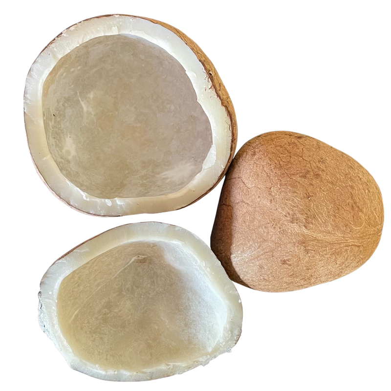Dry Coconut Copra ( Nariyal ) is made from dry coconut pieces .