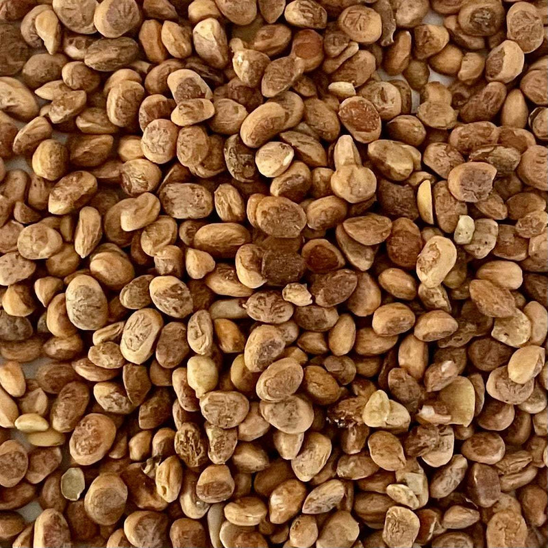 Charoli seeds or  Almondette Kernels Chironji Enjoy them straight out of the pack as a nutritious snack option that will keep you fueled and satisfied throughout the day.