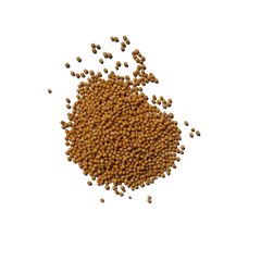 Rai or Rye Yellow Mustard Seed is used with Masalas or Curry Leaves or in Tadka as seasoning.
