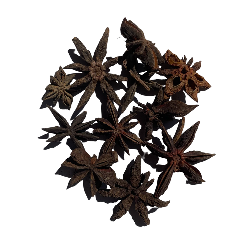 Star Anise or Chakra Phool Delight in the enchanting essence that will leave a lasting impression on your taste buds.